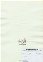 藏品(匍匐擬石花)的圖片